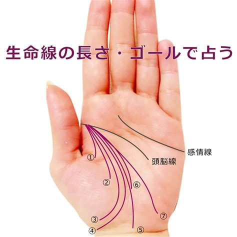 生命輔助線|生命線が2本、3本…と複数ある手相、生命線に並行す。